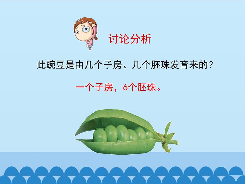 济南版生物八年级上册1.3果实和种子的形成_课件第8页