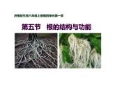 济南版生物八年级上册1.5根的结构与功能课件