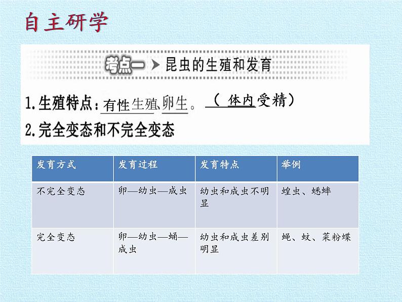 济南版生物八年级上册2动物的生殖和发育 复习课件第4页