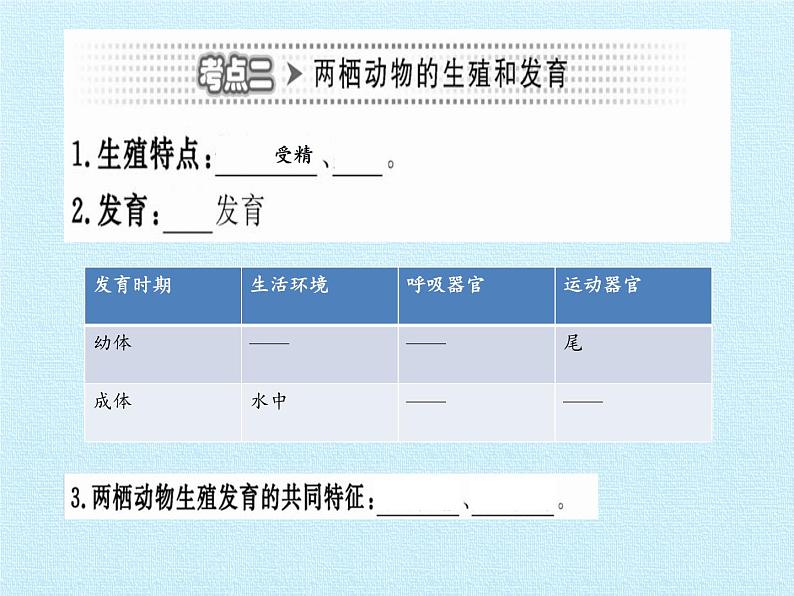 济南版生物八年级上册2动物的生殖和发育 复习课件第5页