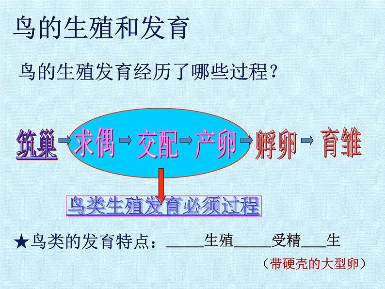 济南版生物八年级上册2动物的生殖和发育 复习课件第6页