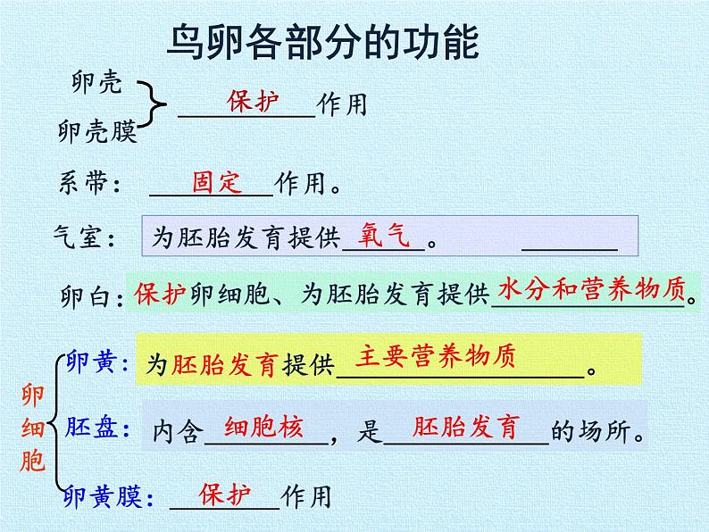 济南版生物八年级上册2动物的生殖和发育 复习课件第7页