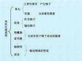 济南版生物八年级上册3人类的生殖和发育 复习课件