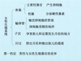 济南版生物八年级上册3人类的生殖和发育 复习课件