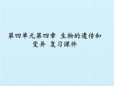 濟(jì)南版生物八年級上冊4 生物的遺傳與變異 復(fù)習(xí)課件