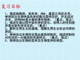 濟(jì)南版生物八年級上冊4 生物的遺傳與變異 復(fù)習(xí)課件