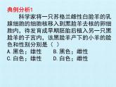 濟(jì)南版生物八年級上冊4 生物的遺傳與變異 復(fù)習(xí)課件