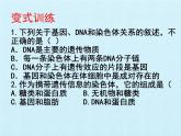 濟(jì)南版生物八年級上冊4 生物的遺傳與變異 復(fù)習(xí)課件