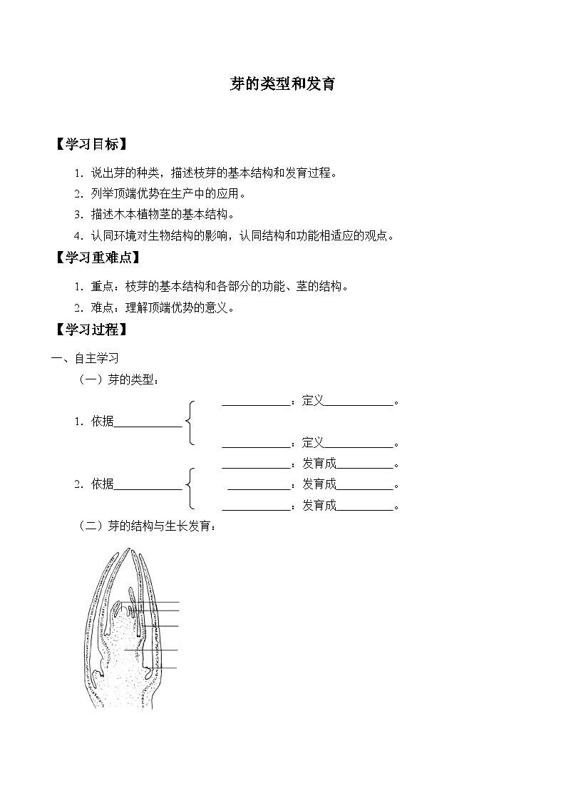 济南版生物八年级上册 芽的类型和发育_学案101