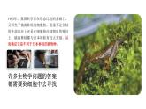人教版初中生物七上：1.1.1 观察周边环境中的生物（教学设计+课件）
