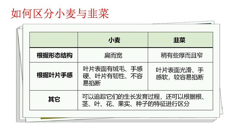 1.1.1观察周边环境中的生物-课件第7页