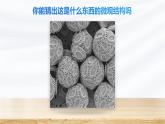人教版初中生物七上：1.2.1 学习使用显微镜（教学设计+课件）
