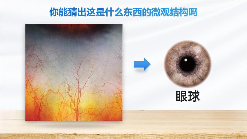 1.2.1 学习使用显微镜-课件第6页