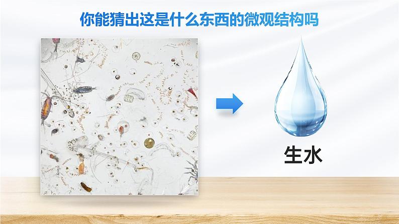 1.2.1 学习使用显微镜-课件第8页