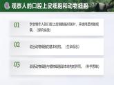 人教版初中生物七上：1.2.3 动物细胞（教学设计+课件）