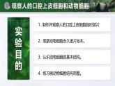 人教版初中生物七上：1.2.3 动物细胞（教学设计+课件）