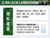 人教版初中生物七上：1.2.3 动物细胞（教学设计+课件）