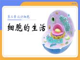 人教版初中生物七上：1.2.4 细胞的生活（教学设计+课件）