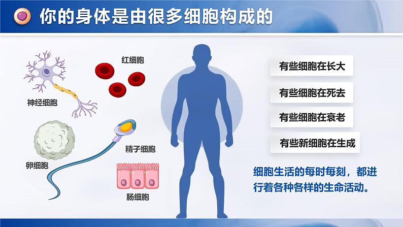 1.2.4 细胞的生活-课件第6页