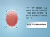 人教版初中生物七上：1.3.1 细胞通过分裂产生新细胞（教学设计+课件）