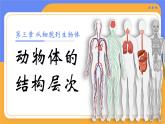 人教版初中生物七上：1.3.2 动物体的结构层次（教学设计+课件）