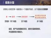人教版初中生物七上：1.3.2 动物体的结构层次（教学设计+课件）