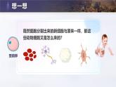 人教版初中生物七上：1.3.2 动物体的结构层次（教学设计+课件）