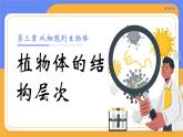 人教版初中生物七上：1.3.3 植物体的结构层次（教学设计+课件）