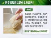 人教版初中生物七上：1.3.3 植物体的结构层次（教学设计+课件）