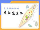 人教版初中生物七上：1.3.4 单细胞生物（教学设计+课件）