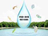 人教版初中生物七上：1.3.4 单细胞生物（教学设计+课件）