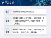 人教版初中生物七上：1.3.4 单细胞生物（教学设计+课件）