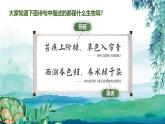 人教版初中生物七上：2.1.1 藻类、苔藓和蕨类（教学设计+课件）