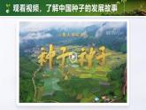人教版初中生物七上：2.1.2 种子植物（教学设计+课件）