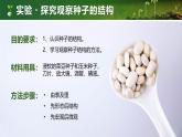 人教版初中生物七上：2.1.2 种子植物（教学设计+课件）
