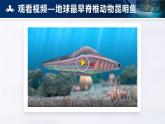 人教版初中生物七上：2.2.1 无脊椎动物（课件）