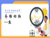 人教版初中生物七上：2.2.2 脊椎动物-鱼（教学设计+课件）