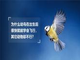 人教版初中生物七上：2.2.2 脊椎动物-鸟和哺乳动物（教学设计+课件）