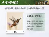 人教版初中生物七上：2.2.2 脊椎动物-鸟和哺乳动物（教学设计+课件）
