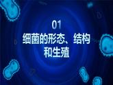 人教版初中生物七上：2.3.2 细菌（教学设计+课件）