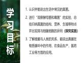 人教版初中生物七上：2.3.3 真菌（教学设计+课件）