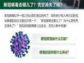 人教版初中生物七上：2.3.4 病毒（教学设计+课件）