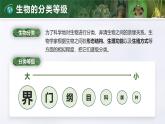 人教版初中生物七上：2.4.2 从种到界（教学设计+课件）