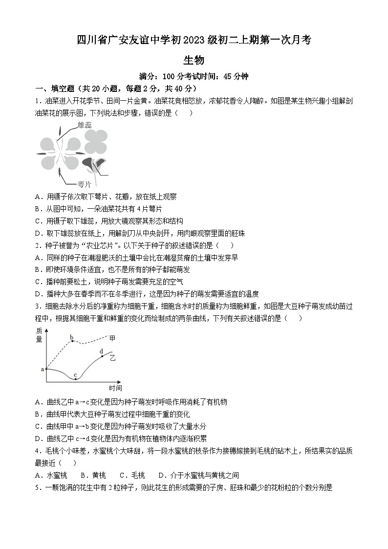 四川省广安市友谊中学2024-2025学年八年级上学期10月检测生物试卷(无答案)01