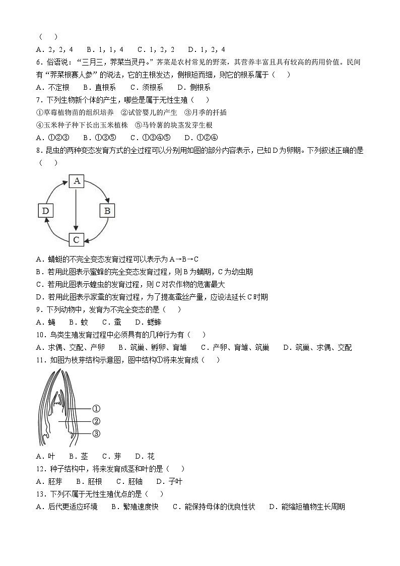 四川省广安市友谊中学2024-2025学年八年级上学期10月检测生物试卷(无答案)02