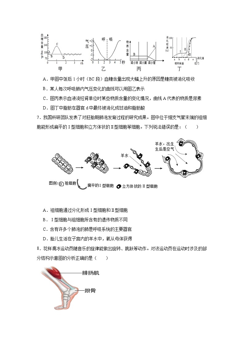 2024年山东省东营市初中学业水平考试生物模拟试题（一）第3页