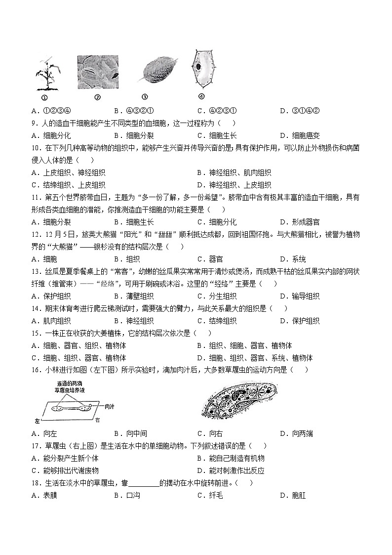 广东省汕头市潮南区陈店实验学校2024-2025学年七年级上学期10月月考生物试题第2页