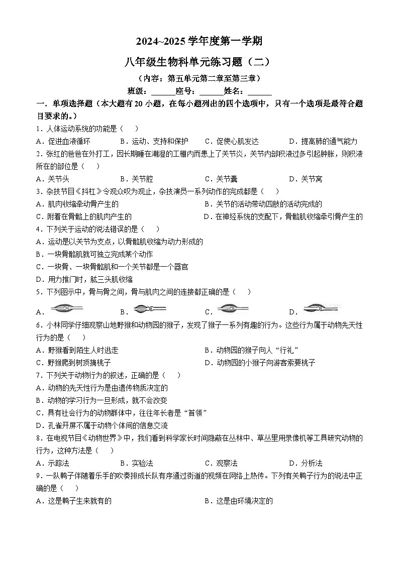 广东省汕头市潮南区陈店实验学校2024-2025学年八年级上学期10月月考生物试题第1页