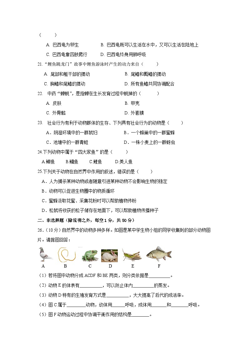 人教版八年级上册生物期中测试卷（含答案）第3页