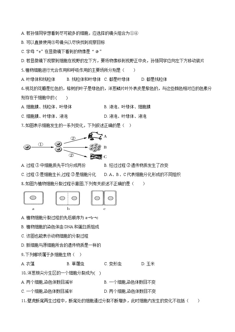 苏教版（2024新版）七年级上册生物第1~3章综合测试卷（含答案解析）02